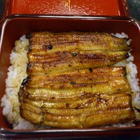 喜代川 - うな重菊