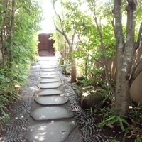 イムリ - 