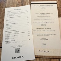 CICADA - 