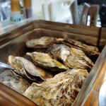 牡蠣海鮮酒場 シーサイドクラブ - 