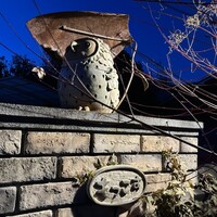 天ぷら もっこす - 