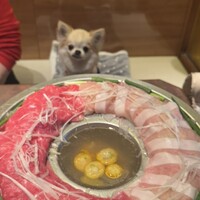 おだし 恵比寿店 - 