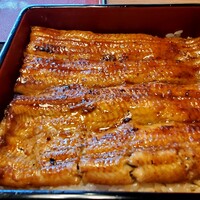 鰻割烹 伊豆栄 梅川亭 - 