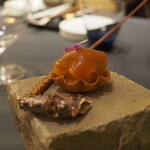 プレゼンテ スギ - 伊勢海老の生チョコと伊勢海老スープのゼリー