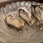 コエダ バール レアーレ - 