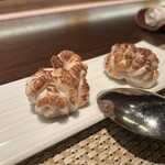 コエダ バール レアーレ - 