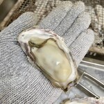 日進丸 - サイズ感