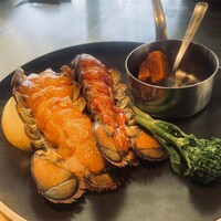 ニュー松坂 六本木店 - 