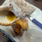 海女小屋 鳥羽 はまなみ - ホラ貝