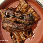 魚と貝のうまい店玉川 - 