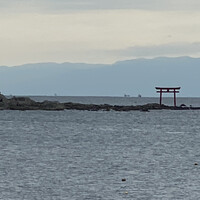 スケープス ザ スィート - 森戸神社裏海岸沿いの鳥居