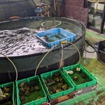 旬鮮館 - 