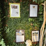 紅茶の店 ARIEL - 