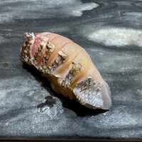 八重洲 鮨 海味 - 
