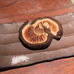 とっぴんぱらりのぷ - 