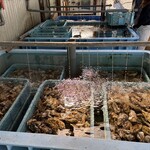 야마에이 수이산