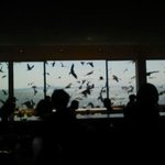 もうひとつの名物。