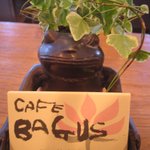 BAGUS - かえるさん。。。インドネシアでは、雨の神様とお話しできる生き物として大切にされています