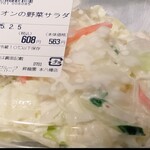 昇龍園 - 料理写真:オニオンの野菜サラダ