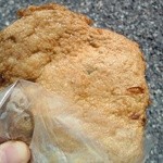 のもざき物産センター  - 料理写真:1枚100円