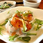 人と木 - 生春巻き大好きです❤︎