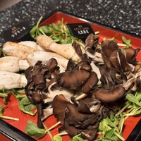 シャングリラズシークレット 北新地店 - 