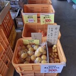 道の駅 クロスロードみつぎ - 広島レモン