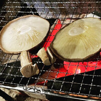 囲炉裏料理 うな革 和なり - 