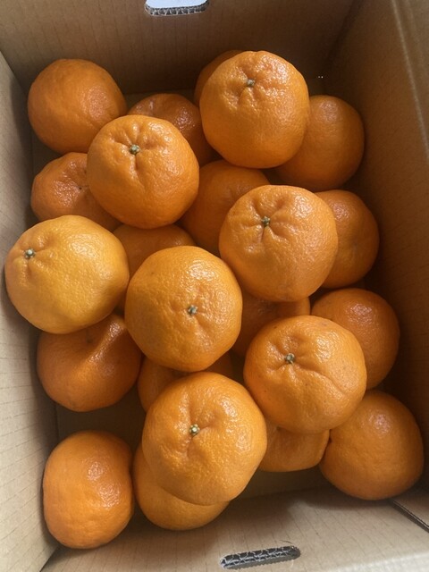 Green Center Ichinomiya photo 2