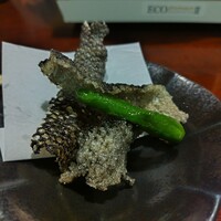 土佐料理 祢保希 銀座店 - 