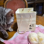 北新地 大和 - あ～げない