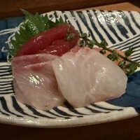 KOiBUMi - 