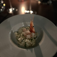 TRATTORIA CREATTA - 