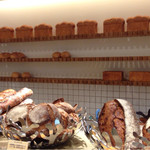 テーラ・テール - 