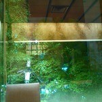 日本料理 花むさし - 席から外を見るの図