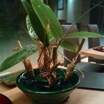 日本料理 花むさし - 鮎塩焼き　蓼酢