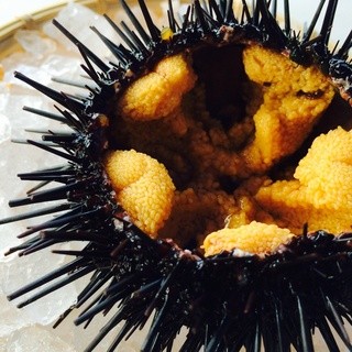北三陸の美味しい海の幸がいつでも味わえる
