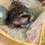 浜の漁師居酒屋 こちら丸特漁業部 - 