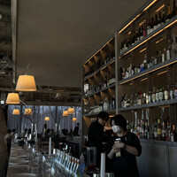 THE APOLLO - 