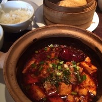 大傳梅梅 - 