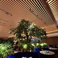 The Blue Room - 