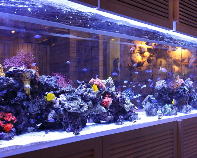 The Photo Of Interior Horide Ami Go Tabelog