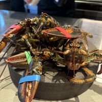Wolfgang's Steakhouse Teppan - 