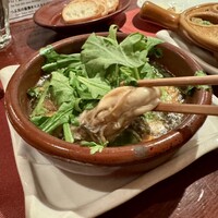 白金Baru - 