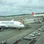 サクララウンジ - 当然ですがJALがいっぱいです