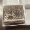 萬御菓子誂處 樫舎