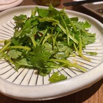 正宗広東私房菜サワダ - パクチーサラダ。