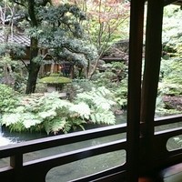 うかい鳥山 - 