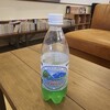 九頭竜温泉 平成の湯