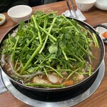 束草センテチプ - 